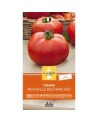 tomate merveille des marchés