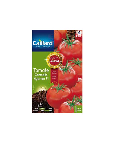 Tomate carmello hybride f1