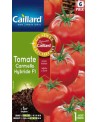 Tomate carmello hybride f1