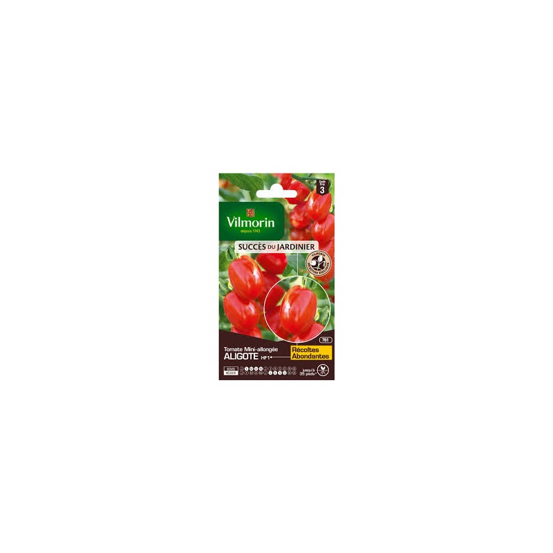 Tomate Aligote Hf1