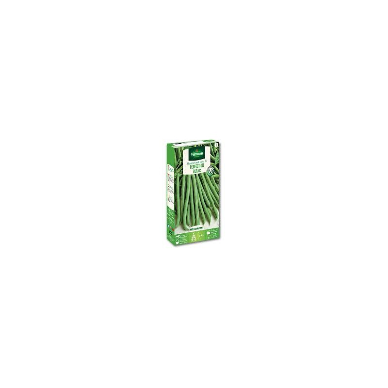 Haricot vert blanc de juillet rames 110 g