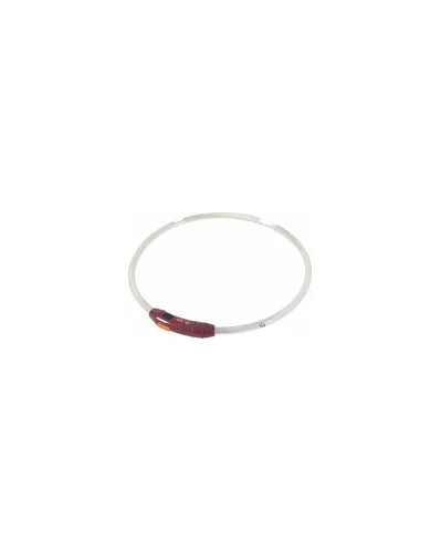 Collier lumineux poils courts