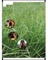 Mélange fourrager M-CHEVAUX15 KG