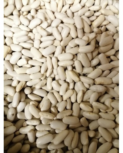 Haricot ecosser Duplex 250 g