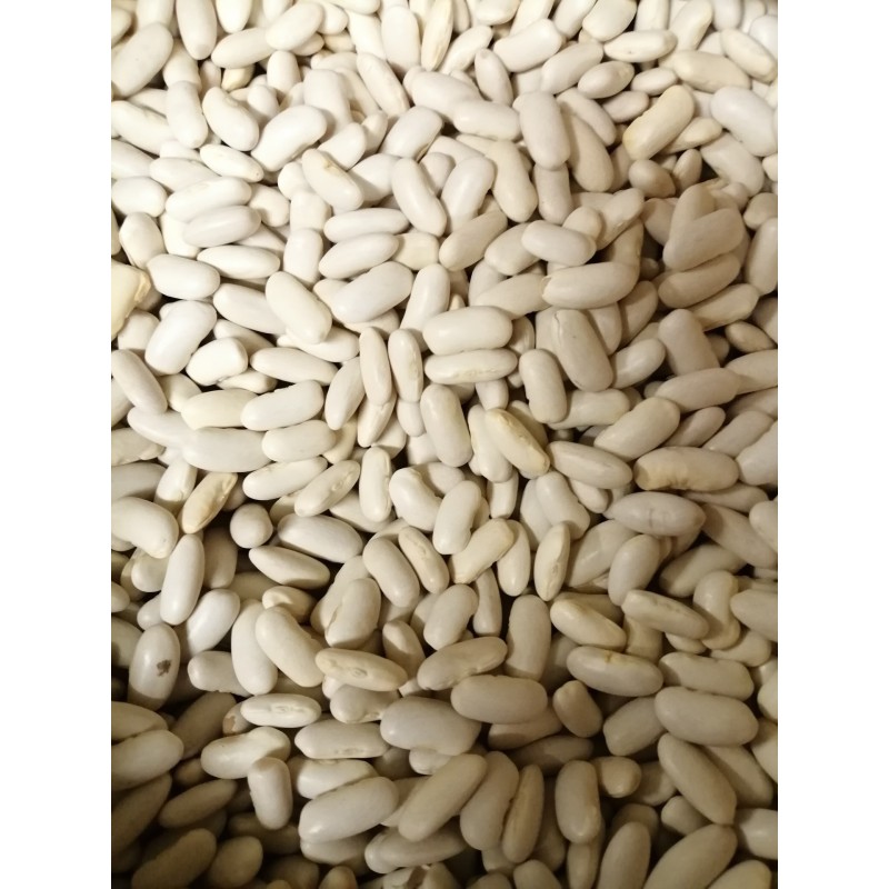 Haricot ecosser Duplex 250 g