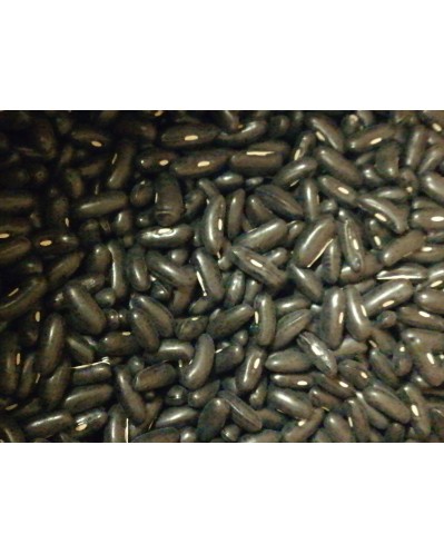 Haricot beurre Rocdor 250 g