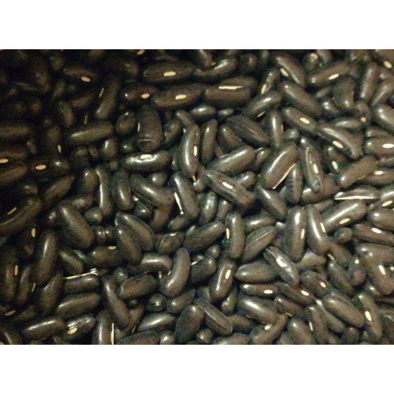 Haricot beurre Rocdor 250 g