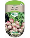 Radis de sezanne
